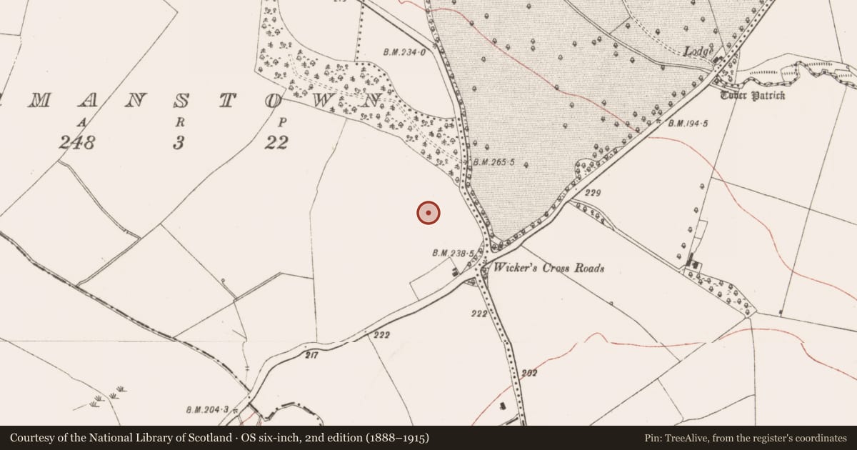 Ordnance Survey six-inch map, 2nd edition (1888–1915) covering the location of Enclosure, Stackallan, County Meath, with a pin at the register's coordinates