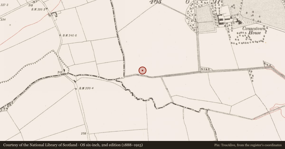 Ordnance Survey six-inch map, 2nd edition (1888–1915) covering the location of Fulacht fia, Causestown, County Meath, with a pin at the register's coordinates