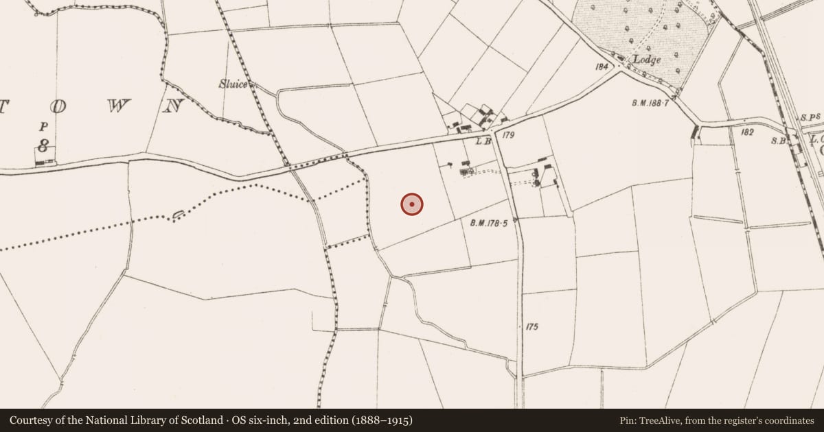 Ordnance Survey six-inch map, 2nd edition (1888–1915) covering the location of Excavation - miscellaneous, Randalstown, County Meath, with a pin at the register's coordinates