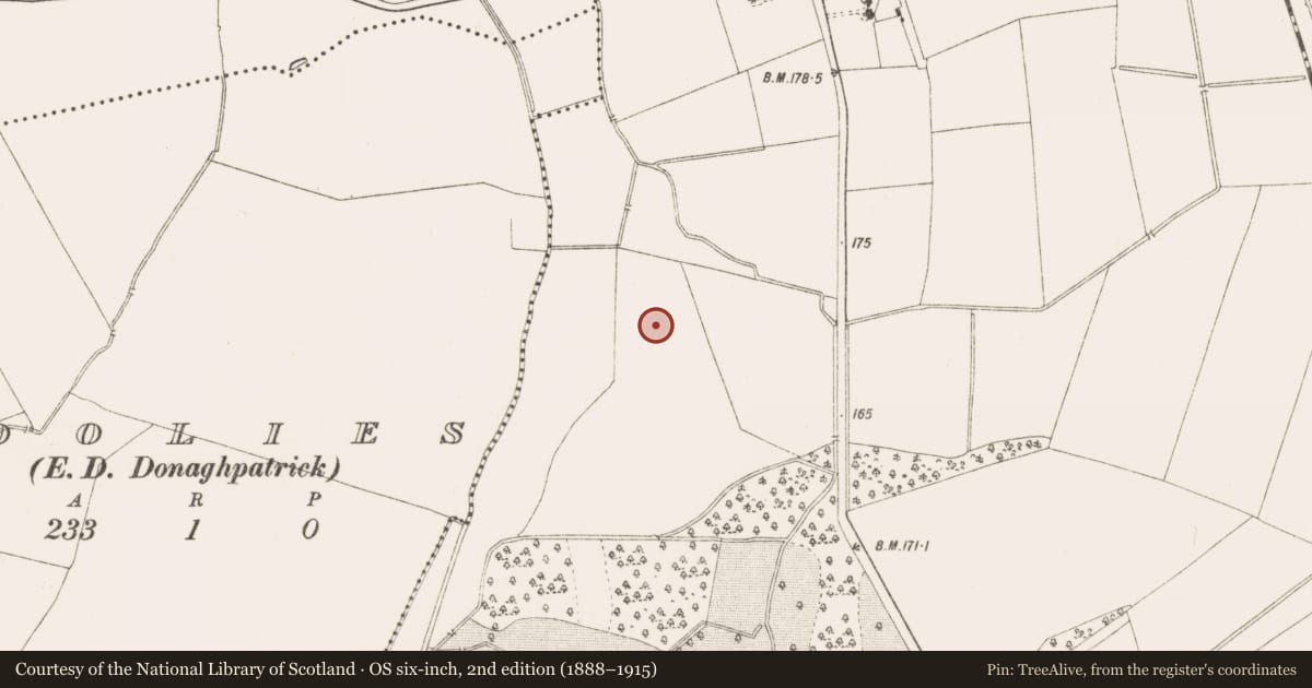 Ordnance Survey six-inch map, 2nd edition (1888–1915) covering the location of Pit, Randalstown, County Meath, with a pin at the register's coordinates