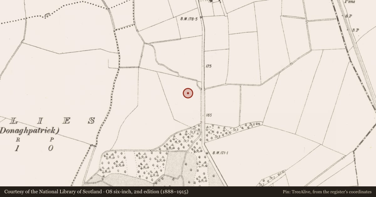 Ordnance Survey six-inch map, 2nd edition (1888–1915) covering the location of Burnt mound, Randalstown, County Meath, with a pin at the register's coordinates