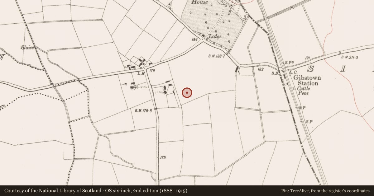 Ordnance Survey six-inch map, 2nd edition (1888–1915) covering the location of Excavation - miscellaneous, Randalstown, County Meath, with a pin at the register's coordinates