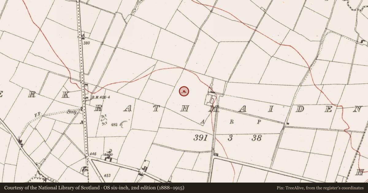 Ordnance Survey six-inch map, 2nd edition (1888–1915) covering the location of Barrow - mound barrow, Rathmaiden, County Meath, with a pin at the register's coordinates