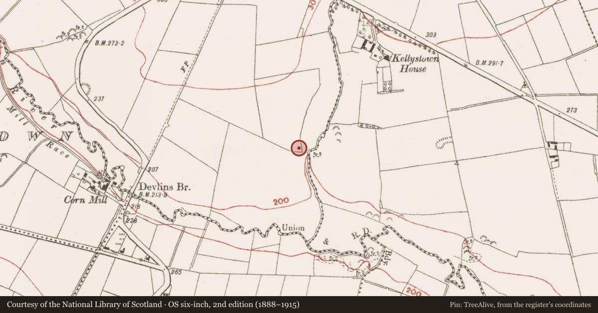 Ordnance Survey six-inch map, 2nd edition (1888–1915) covering the location of Souterrain, Balrenny, County Meath, with a pin at the register's coordinates
