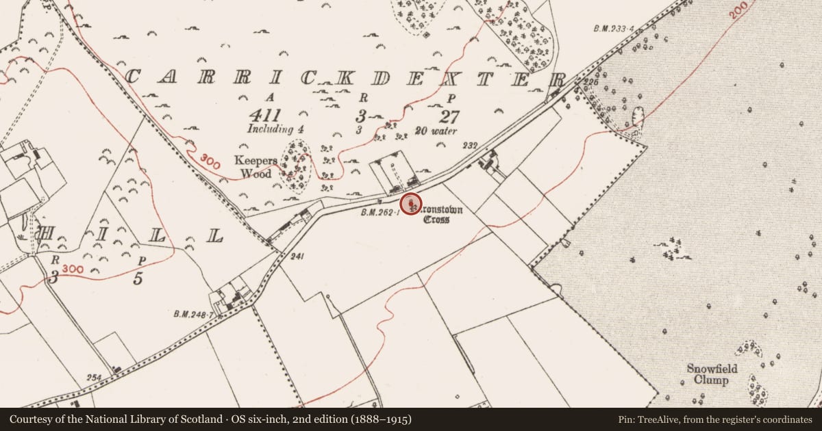 Ordnance Survey six-inch map, 2nd edition (1888–1915) covering the location of Cross - Wayside cross, Carrickdexter, County Meath, with a pin at the register's coordinates