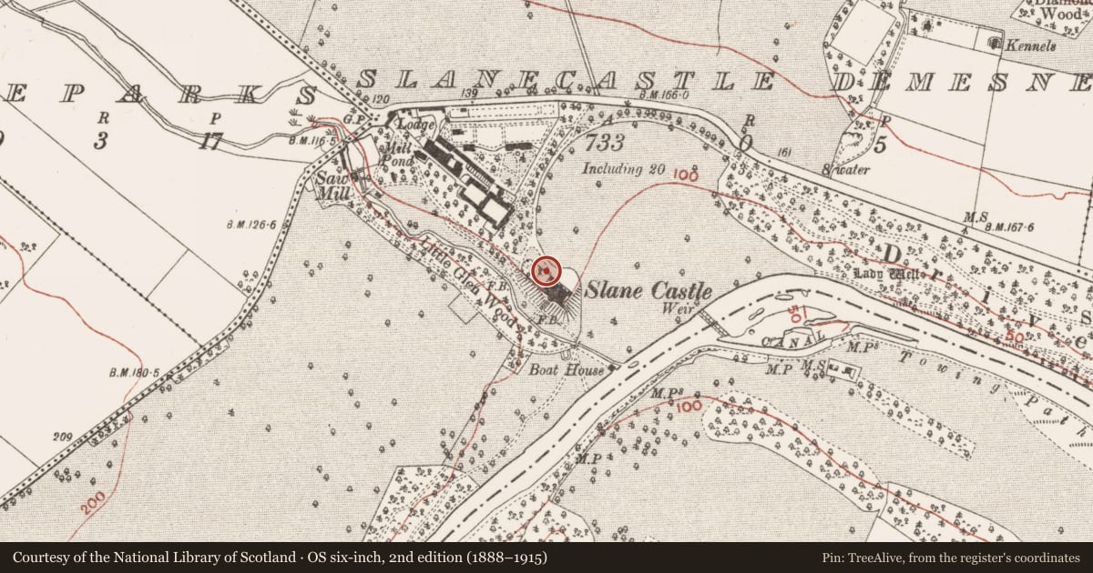 Ordnance Survey six-inch map, 2nd edition (1888–1915) covering the location of Tomb - effigial (present location), Slanecastle Demesne, County Meath, with a pin at the register's coordinates