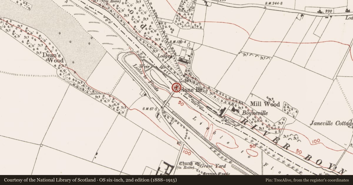 Ordnance Survey six-inch map, 2nd edition (1888–1915) covering the location of Bridge, County Meath, with a pin at the register's coordinates
