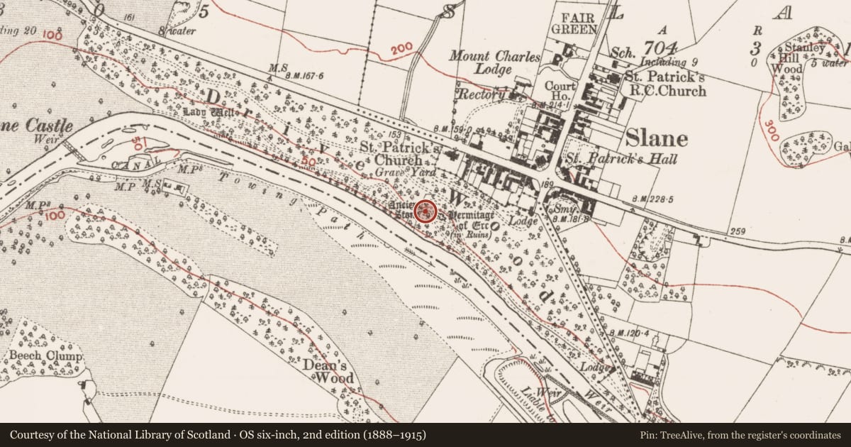 Ordnance Survey six-inch map, 2nd edition (1888–1915) covering the location of Stone sculpture (present location), Slanecastle Demesne, County Meath, with a pin at the register's coordinates