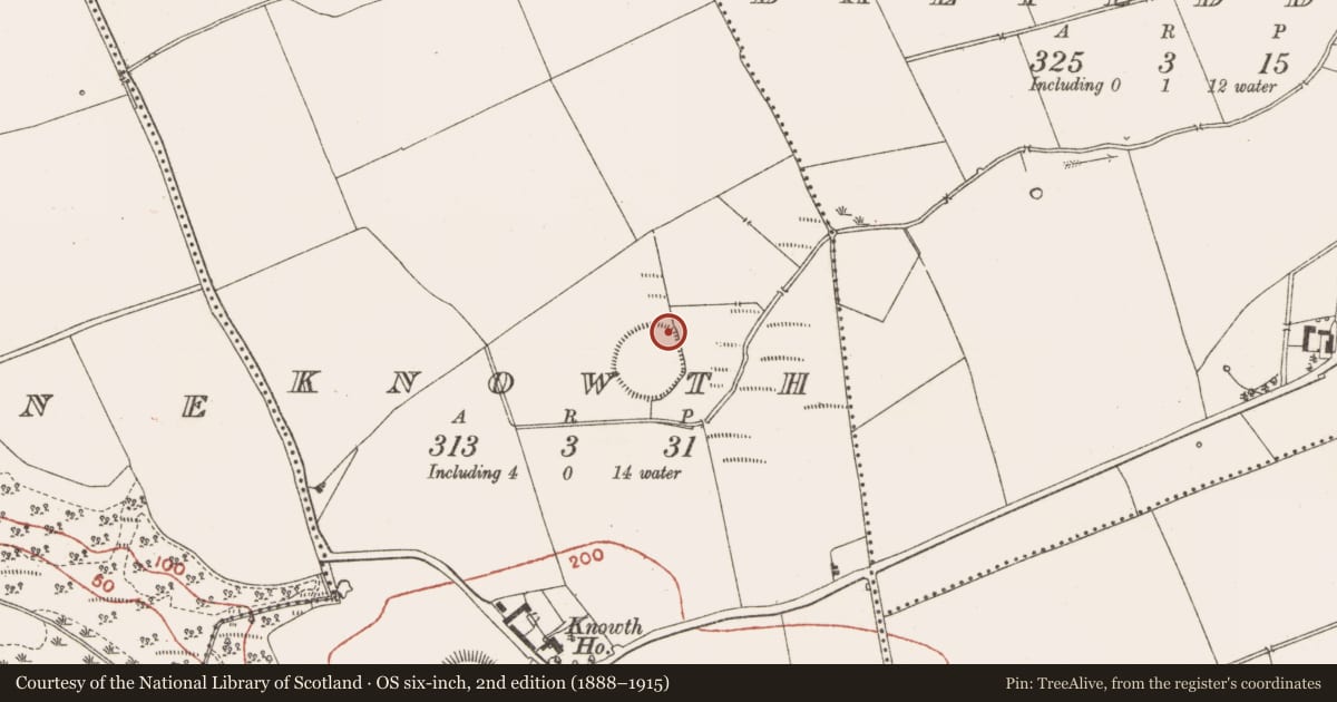 Ordnance Survey six-inch map, 2nd edition (1888–1915) covering the location of Field system, Knowth, County Meath, with a pin at the register's coordinates