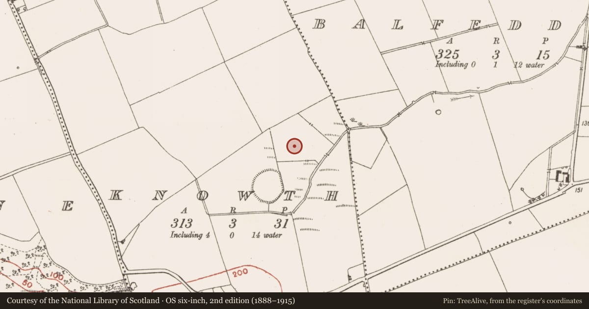 Ordnance Survey six-inch map, 2nd edition (1888–1915) covering the location of Ring-ditch, Knowth, County Meath, with a pin at the register's coordinates