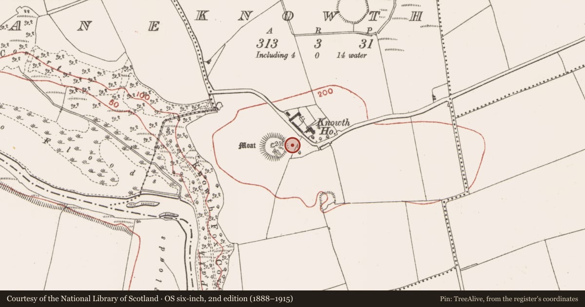 Ordnance Survey six-inch map, 2nd edition (1888–1915) covering the location of Timber circle, Knowth, County Meath, with a pin at the register's coordinates