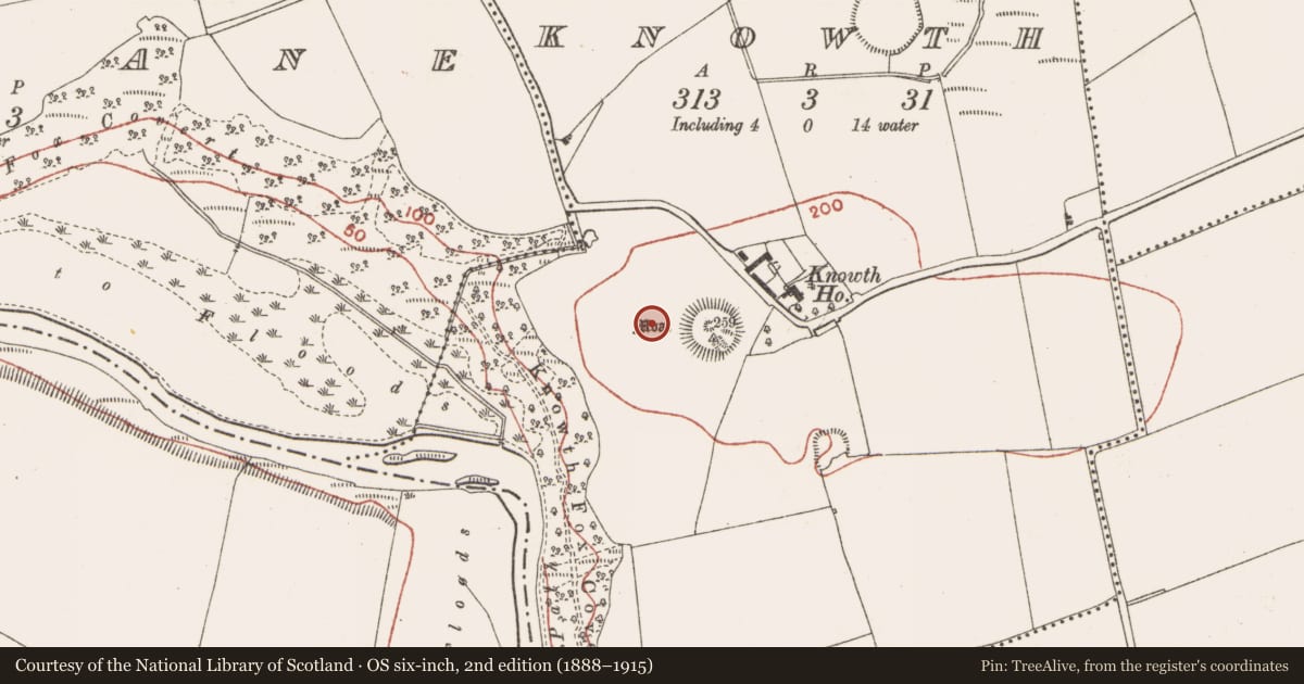 Ordnance Survey six-inch map, 2nd edition (1888–1915) covering the location of Slab-lined burial, Knowth, County Meath, with a pin at the register's coordinates