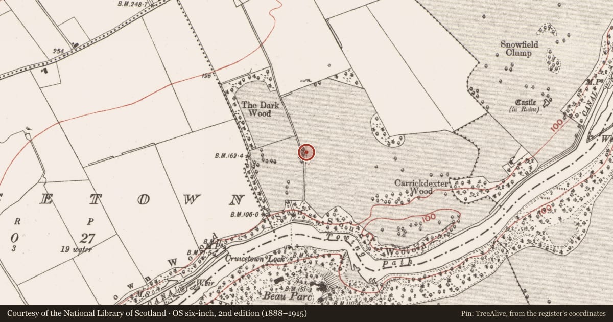 Ordnance Survey six-inch map, 2nd edition (1888–1915) covering the location of Church, Carrickdexter, County Meath, with a pin at the register's coordinates