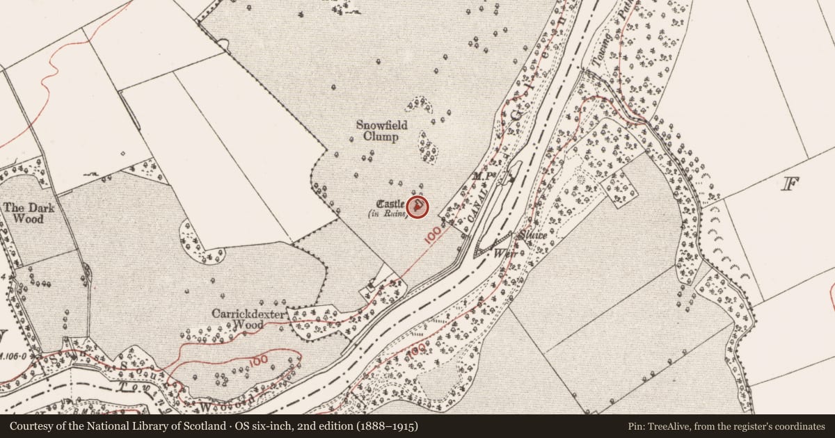 Ordnance Survey six-inch map, 2nd edition (1888–1915) covering the location of Castle - tower house, Slanecastle Demesne, County Meath, with a pin at the register's coordinates