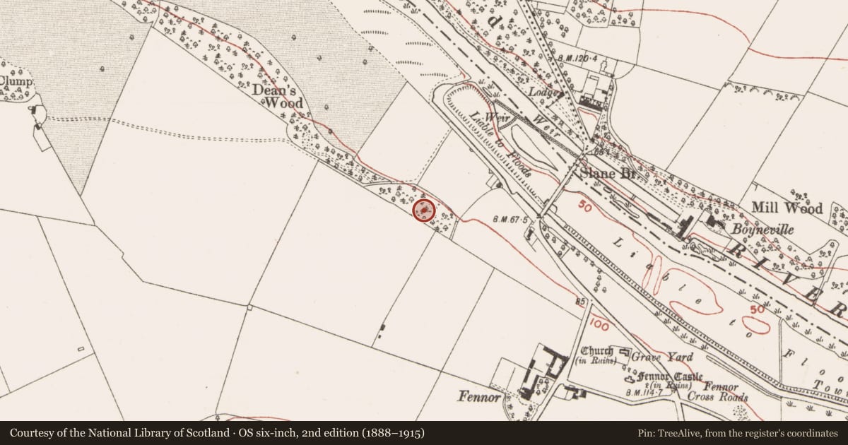 Ordnance Survey six-inch map, 2nd edition (1888–1915) covering the location of Souterrain, Fennor, County Meath, with a pin at the register's coordinates