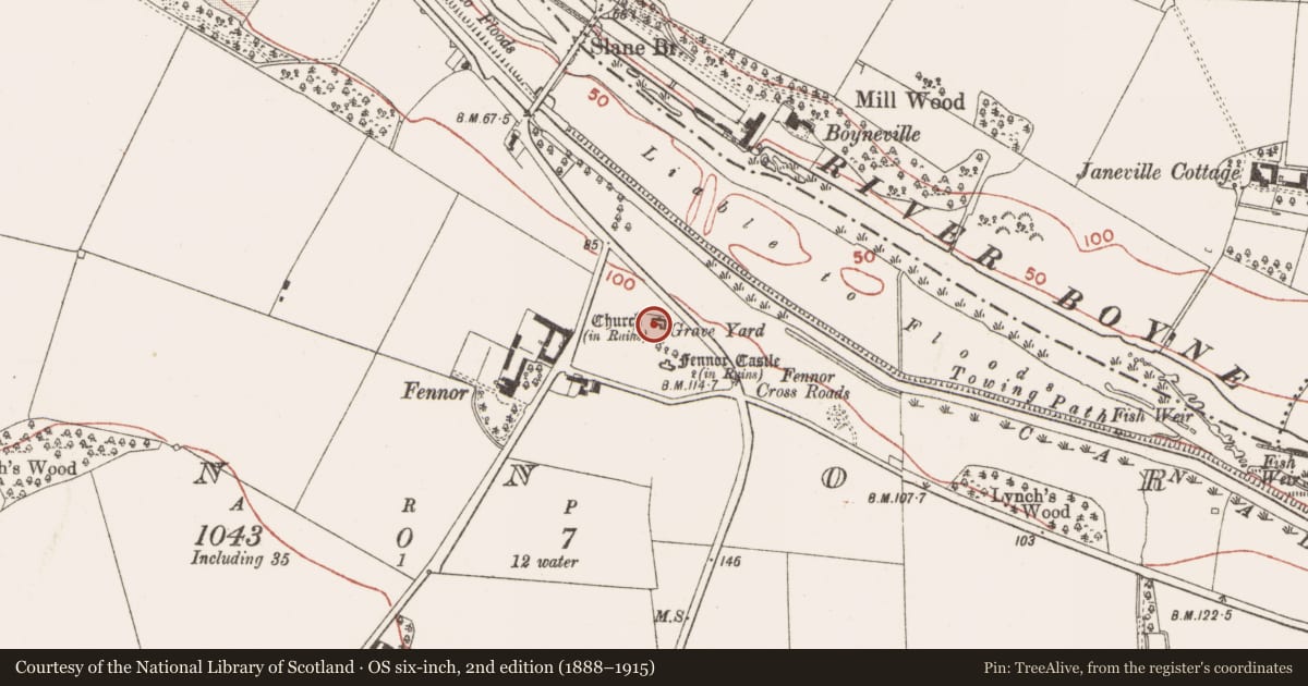 Ordnance Survey six-inch map, 2nd edition (1888–1915) covering the location of Graveyard, Fennor, County Meath, with a pin at the register's coordinates