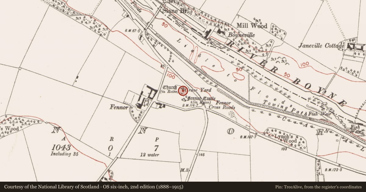 Ordnance Survey six-inch map, 2nd edition (1888–1915) covering the location of Cross - High cross, Fennor, County Meath, with a pin at the register's coordinates
