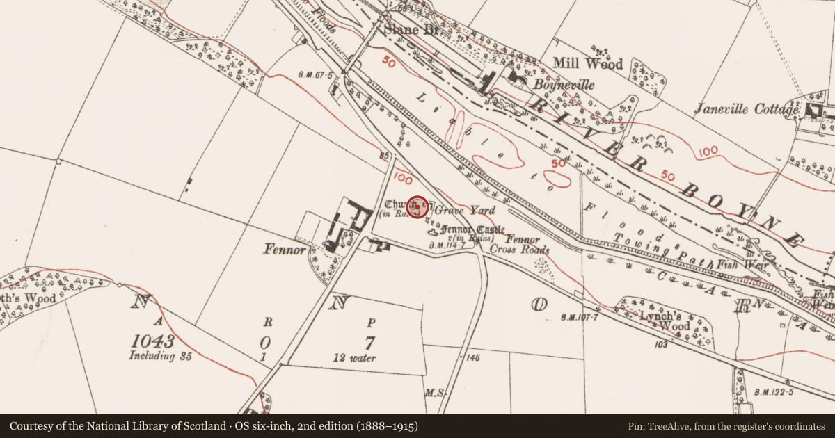 Ordnance Survey six-inch map, 2nd edition (1888–1915) covering the location of Graveslab, Fennor, County Meath, with a pin at the register's coordinates