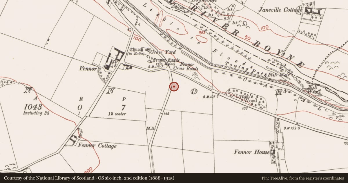 Ordnance Survey six-inch map, 2nd edition (1888–1915) covering the location of Souterrain, Fennor, County Meath, with a pin at the register's coordinates