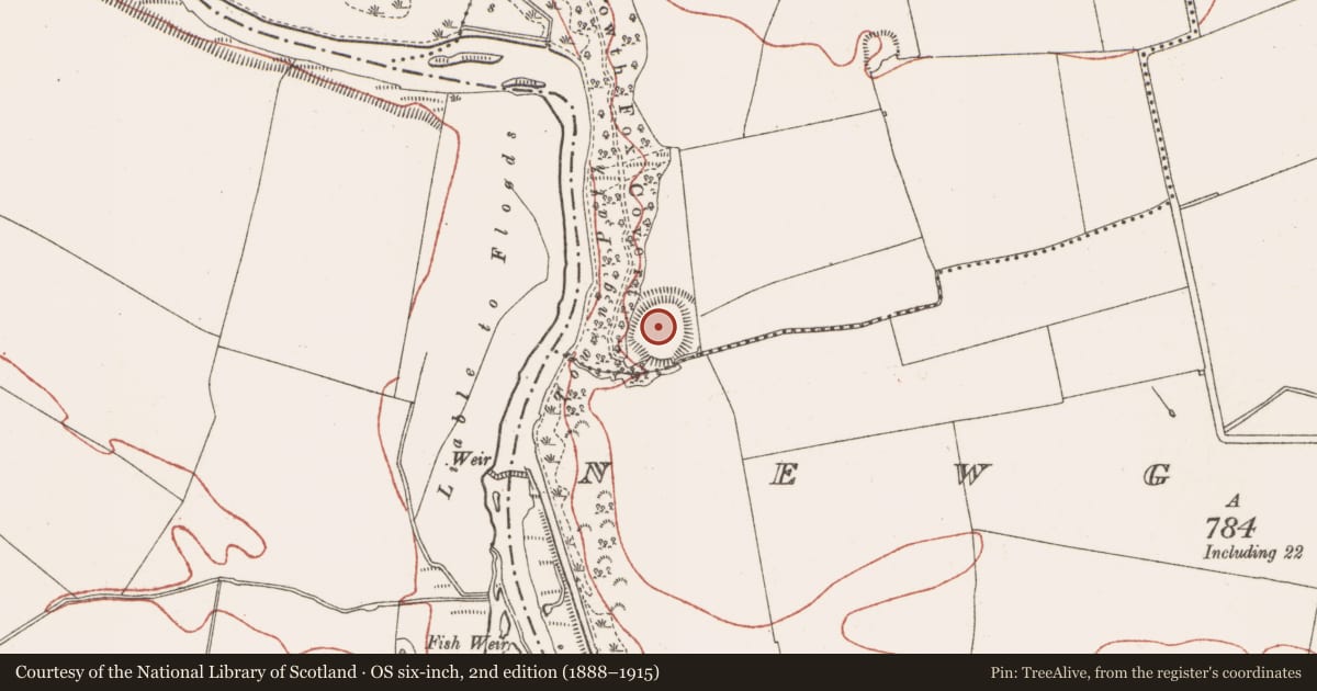 Ordnance Survey six-inch map, 2nd edition (1888–1915) covering the location of Promontory fort - inland, Knowth, County Meath, with a pin at the register's coordinates