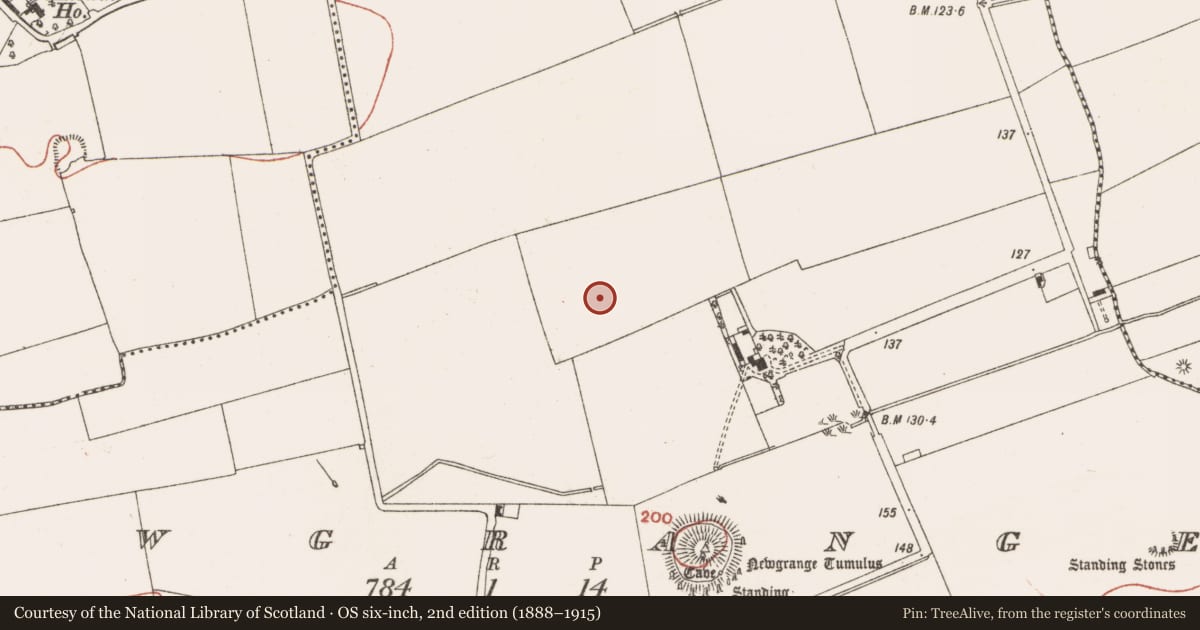 Ordnance Survey six-inch map, 2nd edition (1888–1915) covering the location of Ringfort - rath, Newgrange, County Meath, with a pin at the register's coordinates