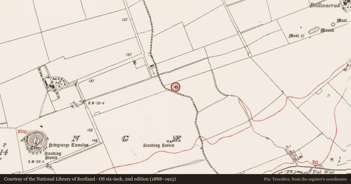 Ordnance Survey six-inch map, 2nd edition (1888–1915) covering the location of Barrow - mound barrow, Dowth, County Meath, with a pin at the register's coordinates