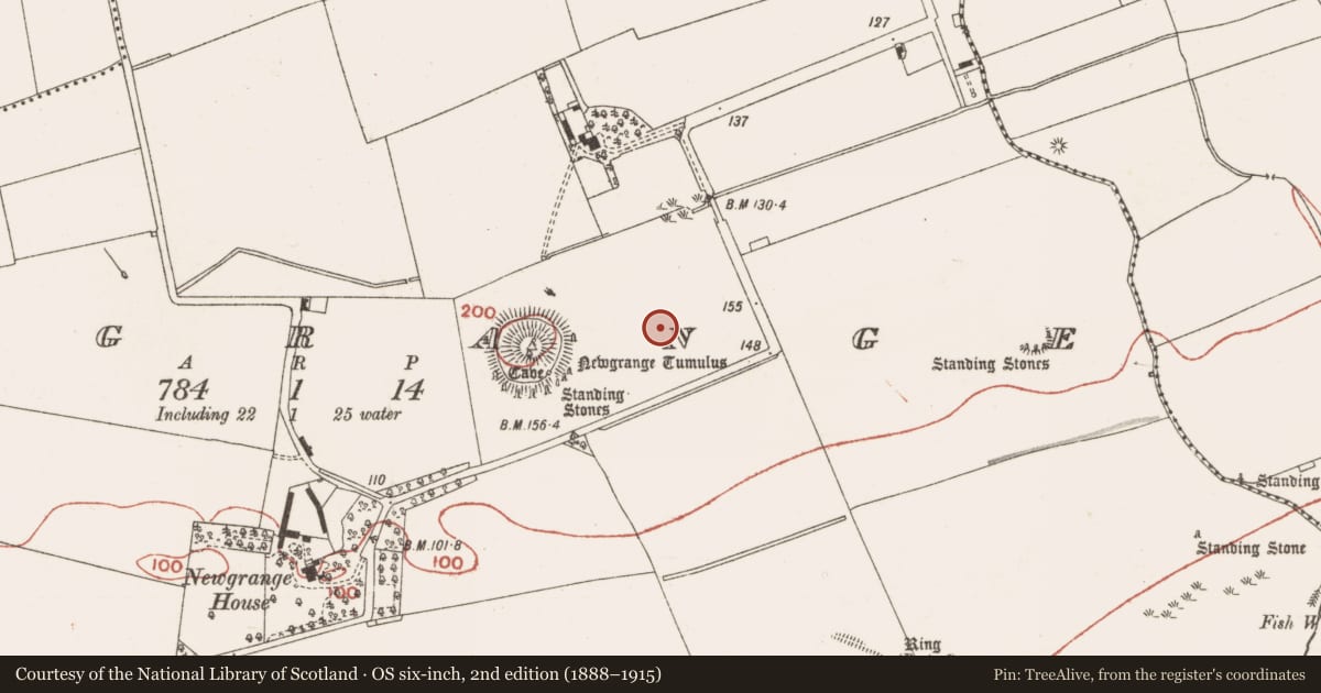 Ordnance Survey six-inch map, 2nd edition (1888–1915) covering the location of Cursus, Newgrange, County Meath, with a pin at the register's coordinates