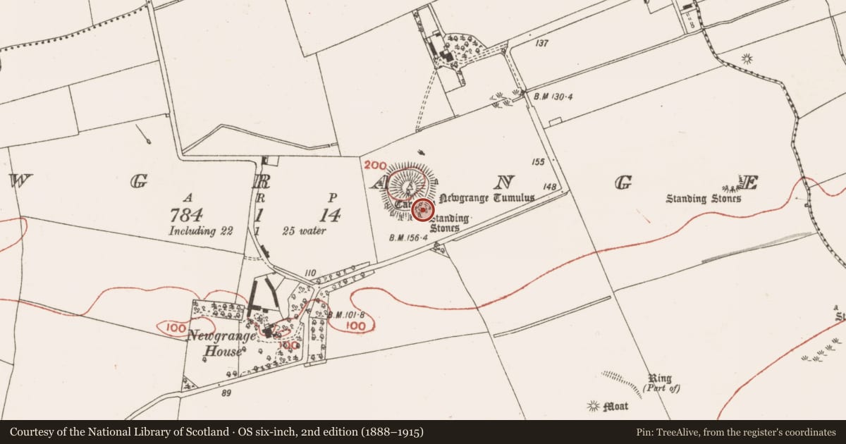 Ordnance Survey six-inch map, 2nd edition (1888–1915) covering the location of Habitation site, Newgrange, County Meath, with a pin at the register's coordinates