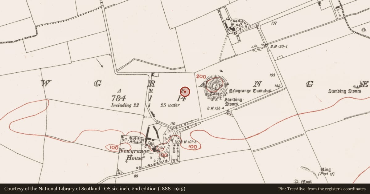 Ordnance Survey six-inch map, 2nd edition (1888–1915) covering the location of Megalithic tomb - passage tomb, Newgrange, County Meath, with a pin at the register's coordinates