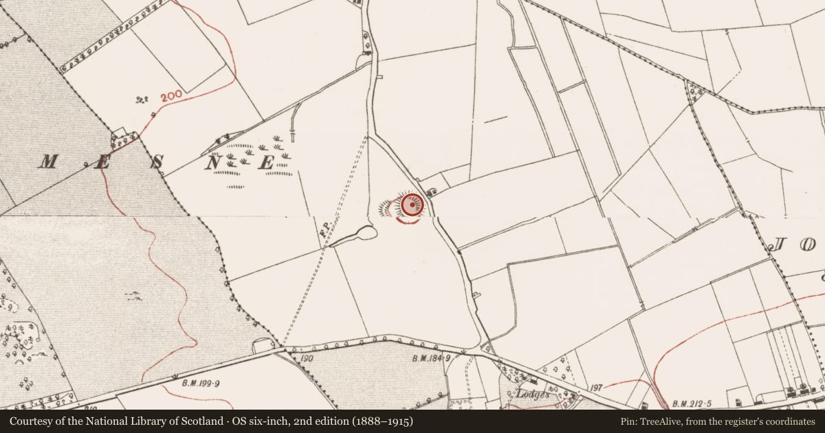 Ordnance Survey six-inch map, 2nd edition (1888–1915) covering the location of Castle - motte, Thurstianstown, County Meath, with a pin at the register's coordinates