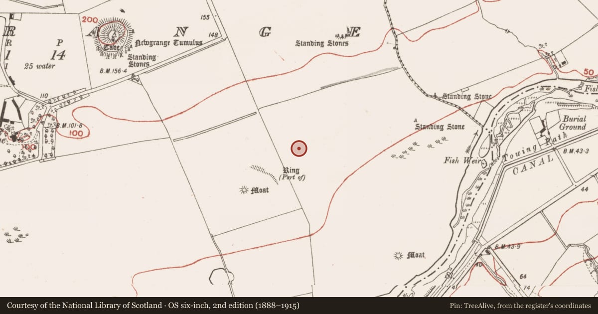 Ordnance Survey six-inch map, 2nd edition (1888–1915) covering the location of Barrow - stepped barrow, Newgrange, County Meath, with a pin at the register's coordinates