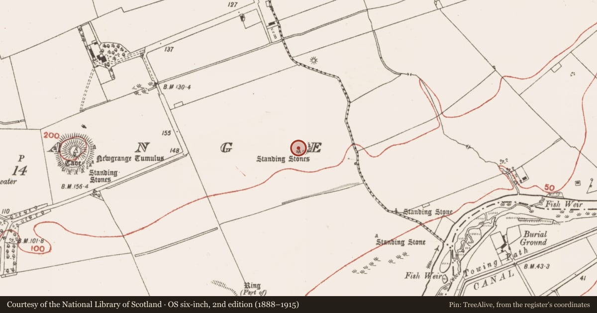 Ordnance Survey six-inch map, 2nd edition (1888–1915) covering the location of Megalithic tomb - passage tomb, Newgrange, County Meath, with a pin at the register's coordinates