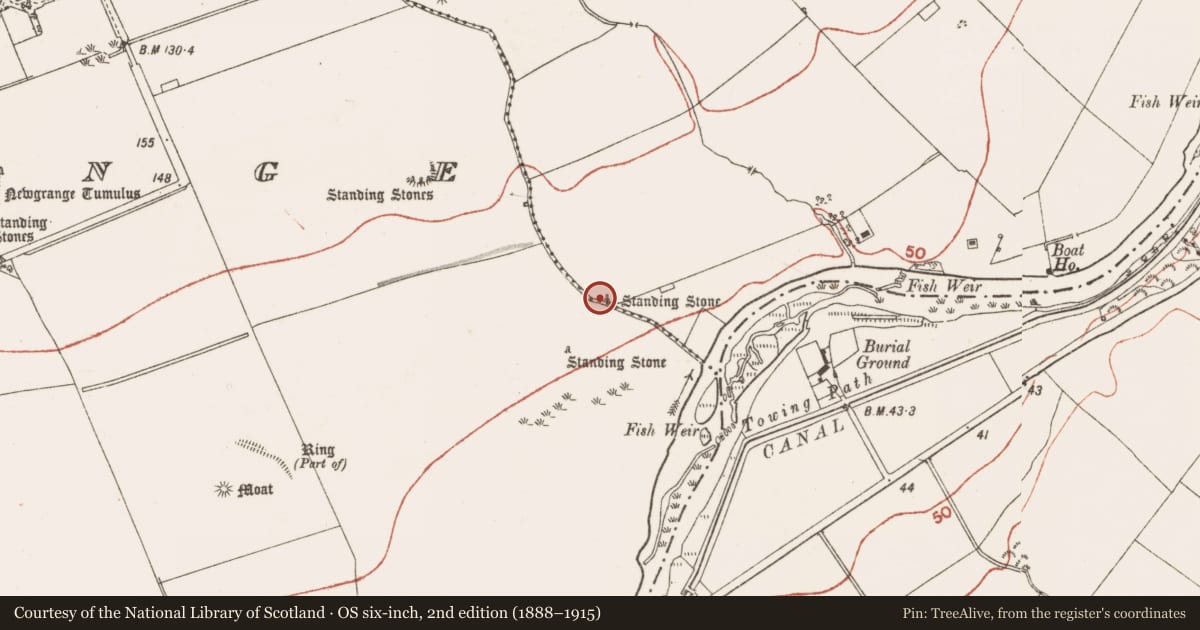Ordnance Survey six-inch map, 2nd edition (1888–1915) covering the location of Standing stone, Dowth, County Meath, with a pin at the register's coordinates