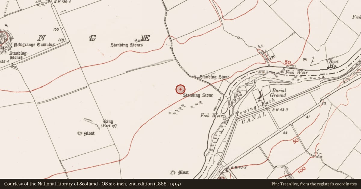 Ordnance Survey six-inch map, 2nd edition (1888–1915) covering the location of Standing stone, Newgrange, County Meath, with a pin at the register's coordinates