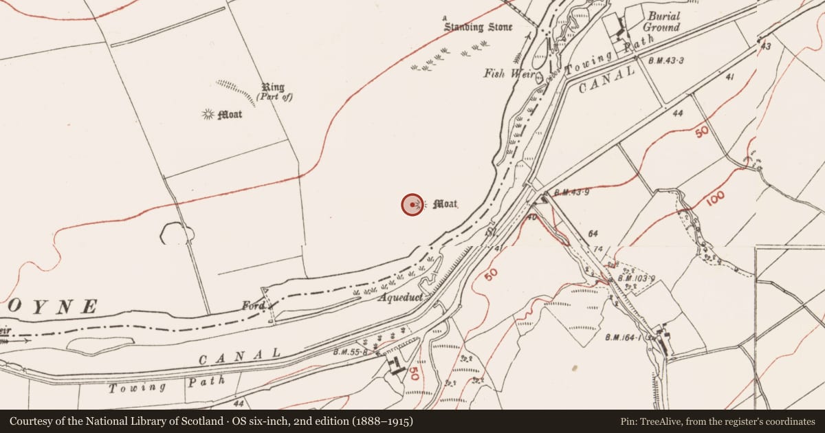 Ordnance Survey six-inch map, 2nd edition (1888–1915) covering the location of Barrow - mound barrow, Newgrange, County Meath, with a pin at the register's coordinates