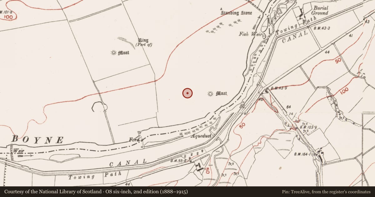 Ordnance Survey six-inch map, 2nd edition (1888–1915) covering the location of Megalithic tomb - passage tomb, Newgrange, County Meath, with a pin at the register's coordinates