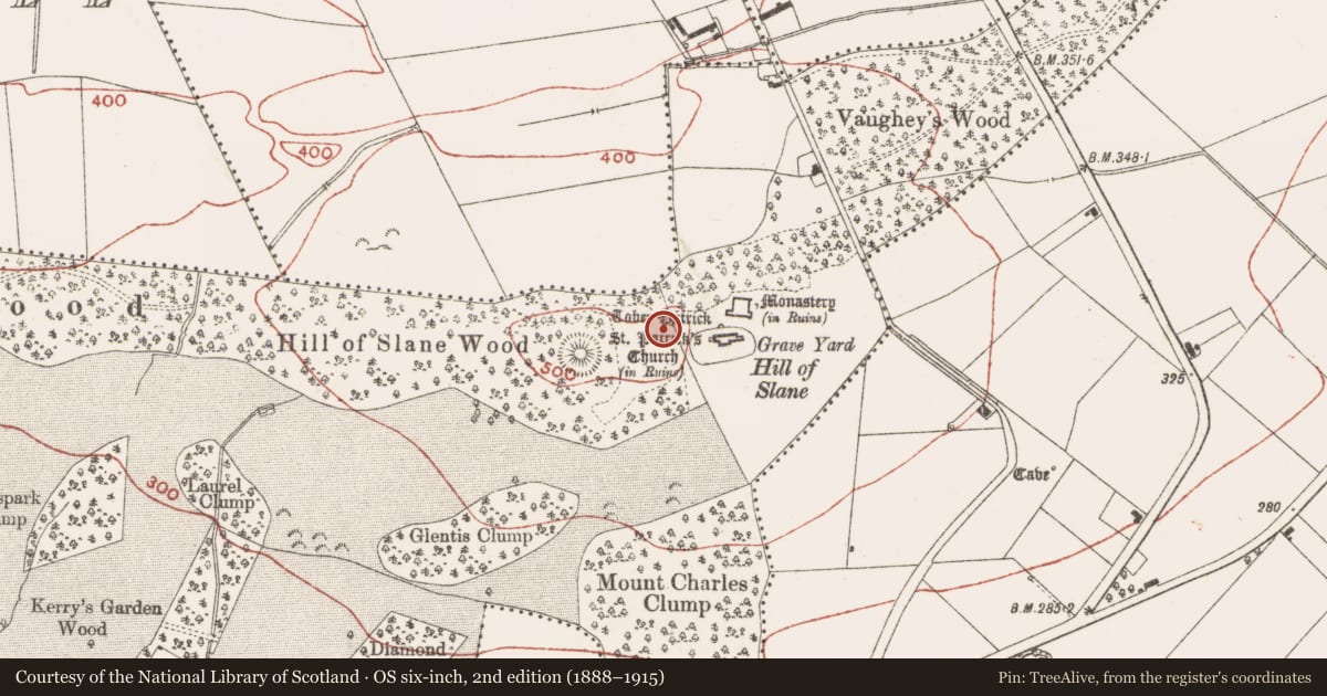 Ordnance Survey six-inch map, 2nd edition (1888–1915) covering the location of Settlement deserted - medieval, Slanecastle Demesne, Brittstown, County Meath, with a pin at the register's coordinates