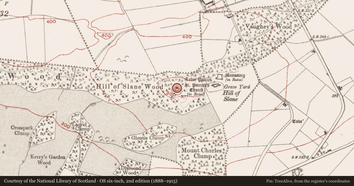 Ordnance Survey six-inch map, 2nd edition (1888–1915) covering the location of Castle - motte, Slanecastle Demesne, County Meath, with a pin at the register's coordinates