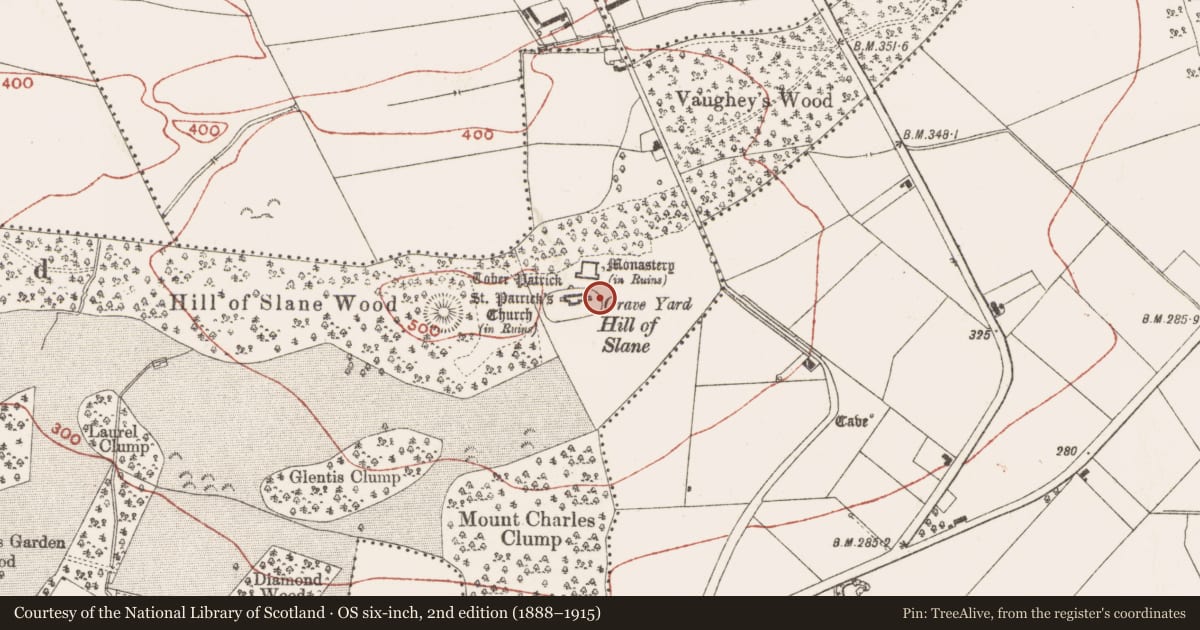 Ordnance Survey six-inch map, 2nd edition (1888–1915) covering the location of Architectural fragment, Slanecastle Demesne, County Meath, with a pin at the register's coordinates