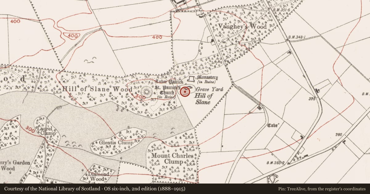 Ordnance Survey six-inch map, 2nd edition (1888–1915) covering the location of Shrine, Slanecastle Demesne, County Meath, with a pin at the register's coordinates