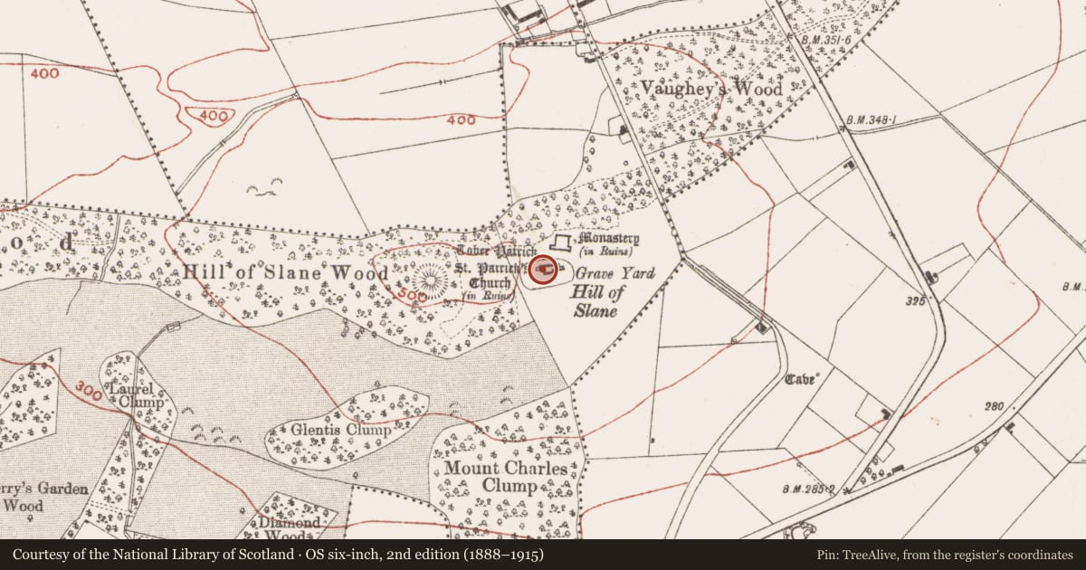 Ordnance Survey six-inch map, 2nd edition (1888–1915) covering the location of Cross - High cross, Slanecastle Demesne, County Meath, with a pin at the register's coordinates