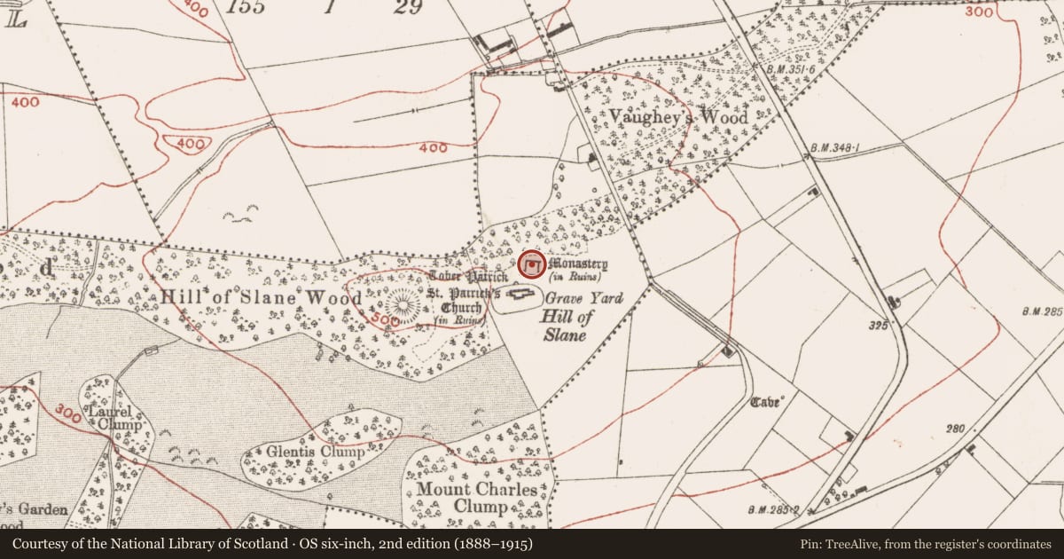 Ordnance Survey six-inch map, 2nd edition (1888–1915) covering the location of Ecclesiastical residence, Slanecastle Demesne, County Meath, with a pin at the register's coordinates