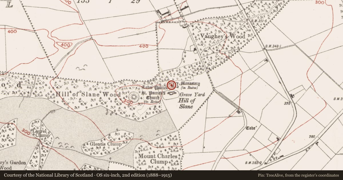 Ordnance Survey six-inch map, 2nd edition (1888–1915) covering the location of Stone sculpture, Slanecastle Demesne, County Meath, with a pin at the register's coordinates