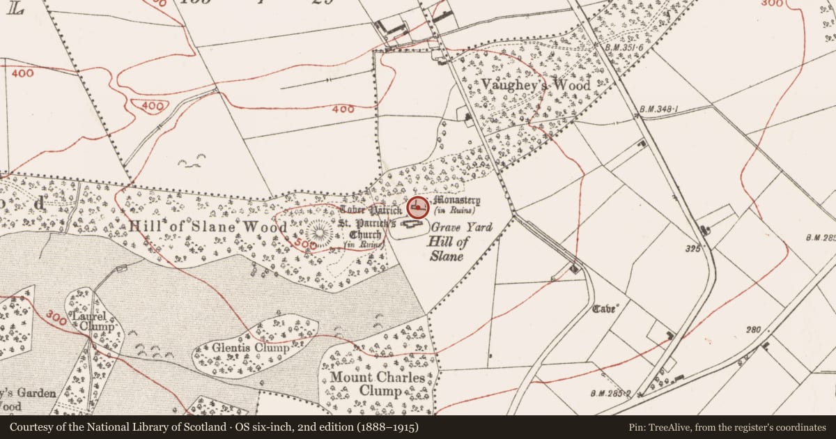 Ordnance Survey six-inch map, 2nd edition (1888–1915) covering the location of Armorial plaque, Slanecastle Demesne, County Meath, with a pin at the register's coordinates