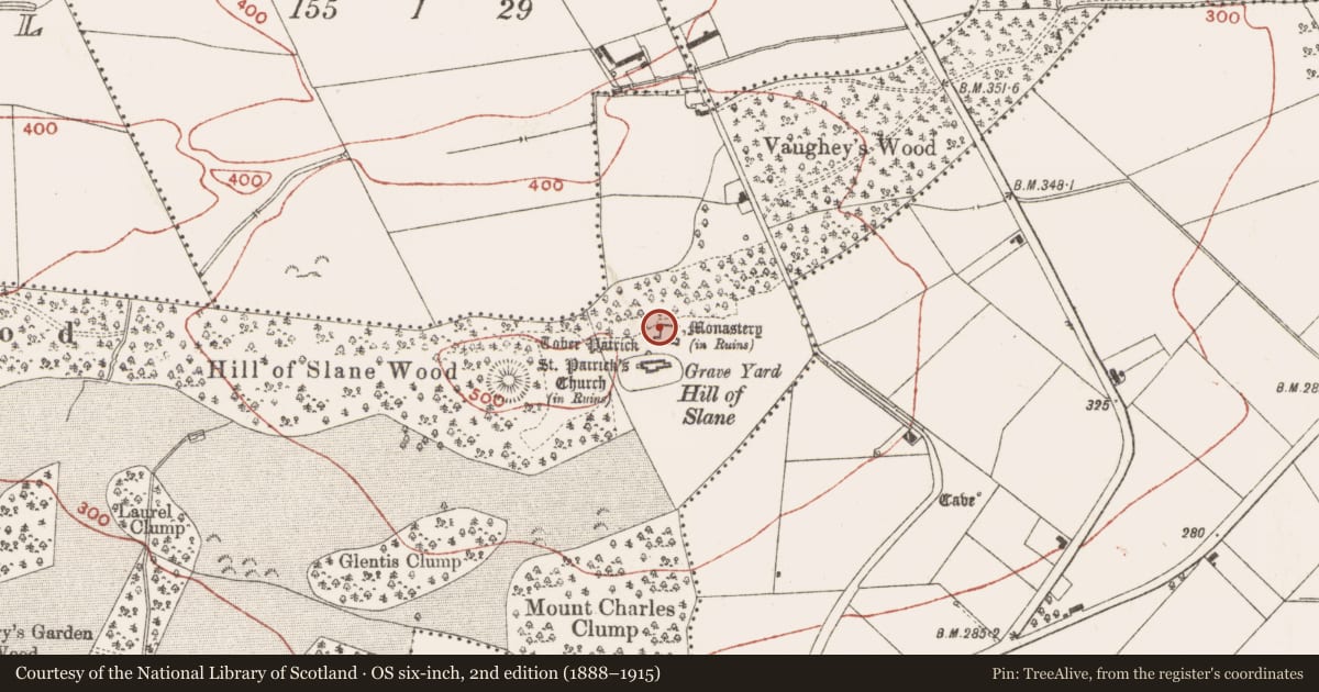 Ordnance Survey six-inch map, 2nd edition (1888–1915) covering the location of Architectural fragment, Slanecastle Demesne, County Meath, with a pin at the register's coordinates
