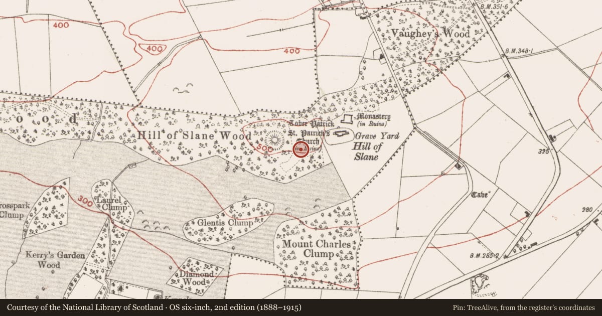Ordnance Survey six-inch map, 2nd edition (1888–1915) covering the location of Earthwork, Slanecastle Demesne, County Meath, with a pin at the register's coordinates