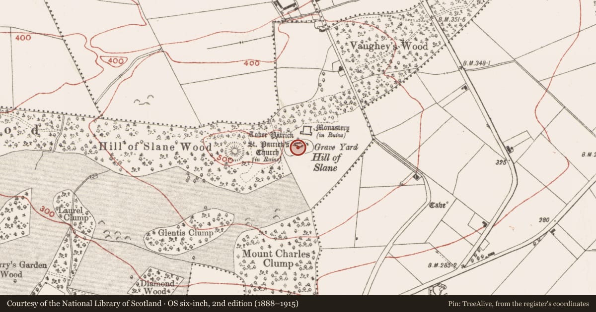 Ordnance Survey six-inch map, 2nd edition (1888–1915) covering the location of Graveyard, Slanecastle Demesne, County Meath, with a pin at the register's coordinates