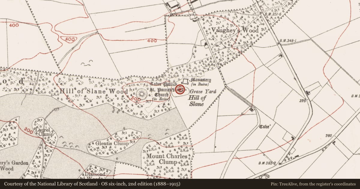 Ordnance Survey six-inch map, 2nd edition (1888–1915) covering the location of Font, Slanecastle Demesne, County Meath, with a pin at the register's coordinates