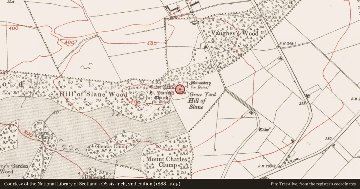 Ordnance Survey six-inch map, 2nd edition (1888–1915) covering the location of Ritual site - holy well, Slanecastle Demesne, County Meath, with a pin at the register's coordinates