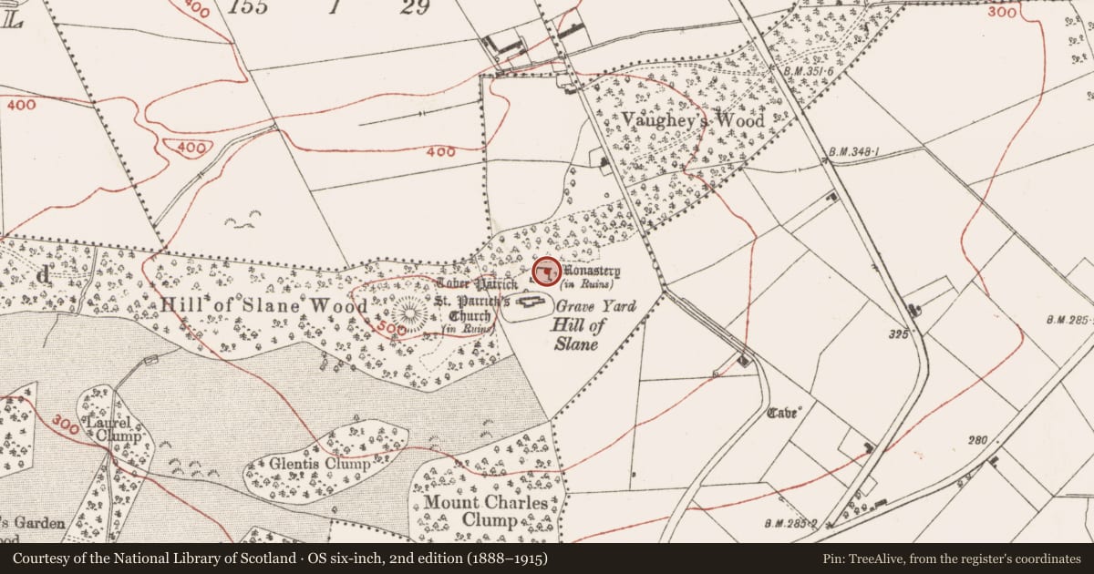 Ordnance Survey six-inch map, 2nd edition (1888–1915) covering the location of Bullaun stone, Slanecastle Demesne, County Meath, with a pin at the register's coordinates